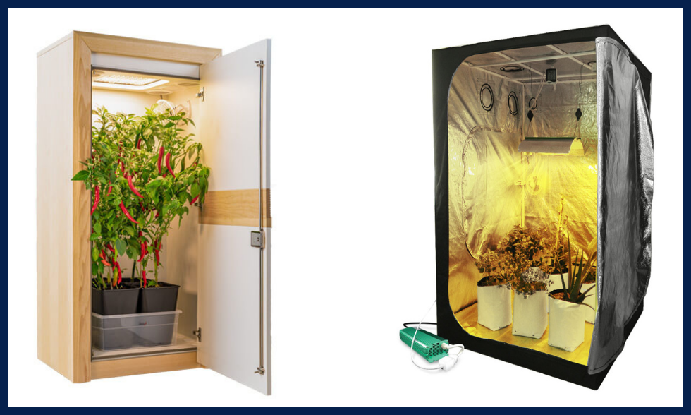 Гроубокс чи гроутент? Як краще вирощувати марихуану в домашніх умовах.