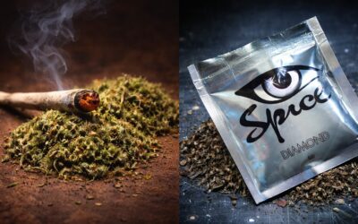 Синтетична марихуана (спайс) vs натуральна: у чому принципова різниця